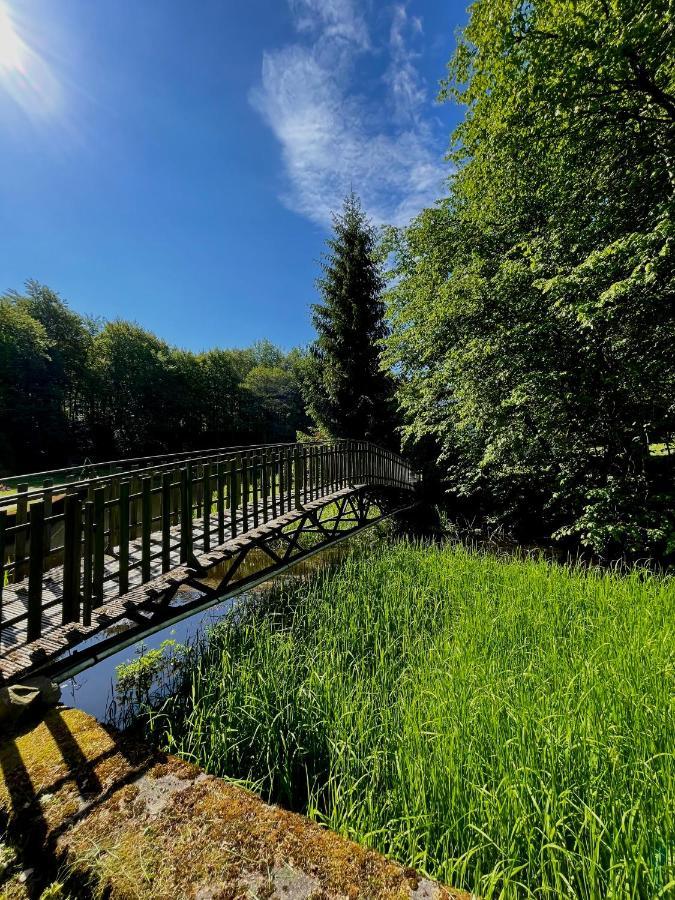 Domek W Glebi Lasu Nad Stawem Wierszyno Ngoại thất bức ảnh